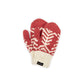 Yeti Mitten | Fire